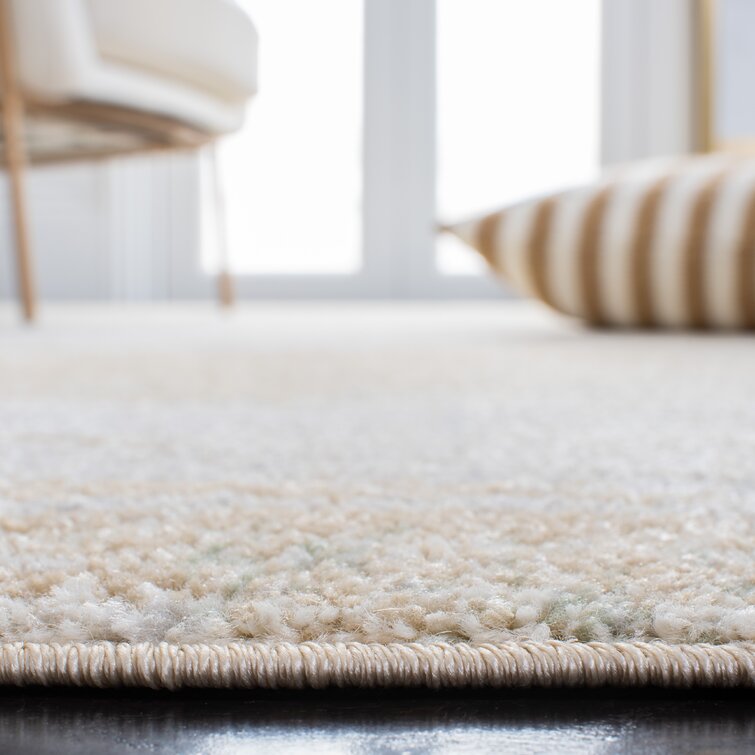 https://assets.wfcdn.com/im/62557813/resize-h755-w755%5Ecompr-r85/1381/138114121/Xanthe+Polypropylene+Blend+Rug.jpg