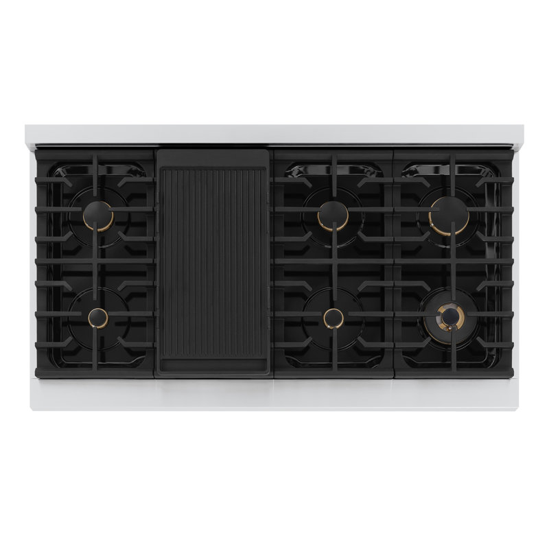 ZLINE 48 in. Paramount Gas Rangetop with 8 Brass Burners and Porcelain Cooktop