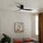 Volos 48'' Ceiling Fan with LED Lights-944020897