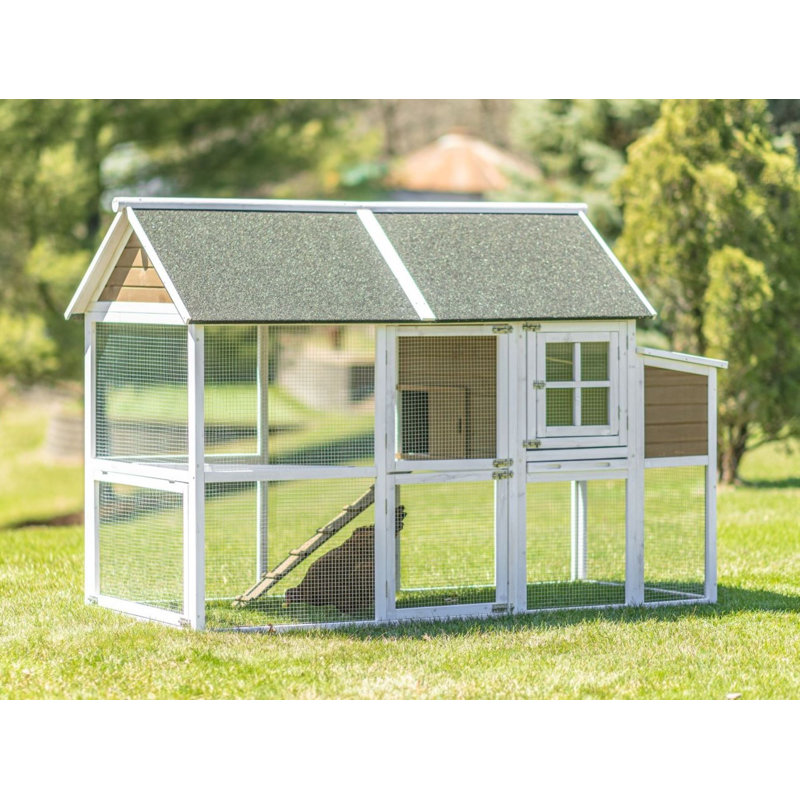 15.8 Square Feet with Chicken Run