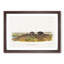 Star-Nose Moles by J.W. Audubon - Framed Print-55615974-55615975
