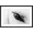 " Trusting Eye " by Marmont Hill-2140058087