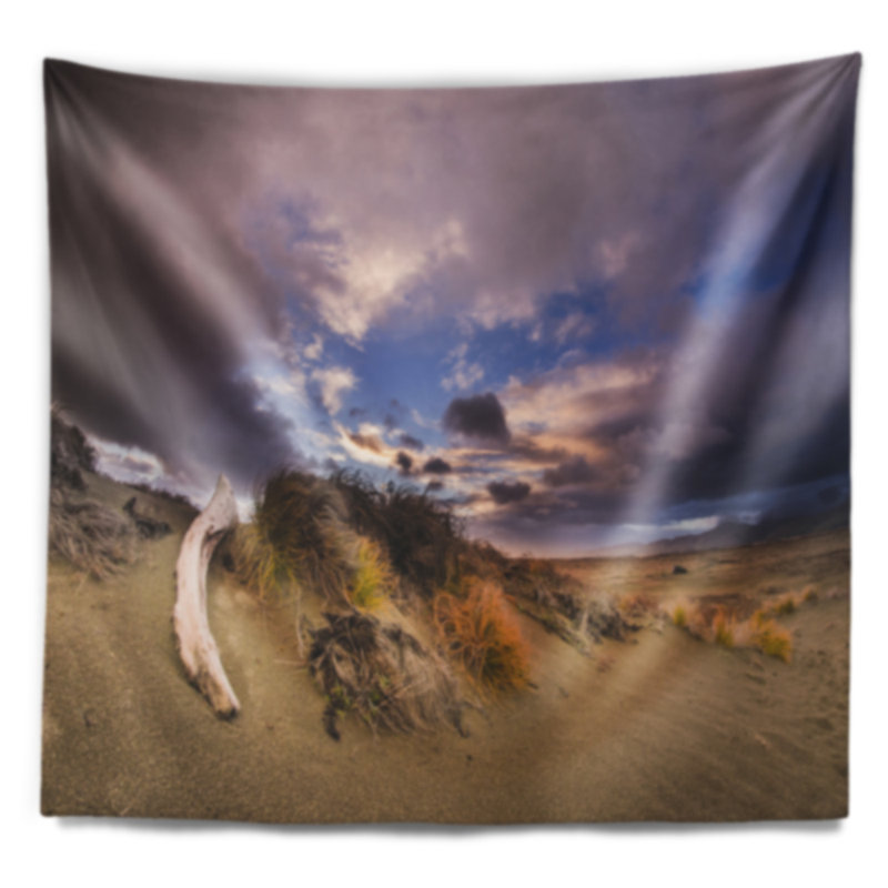 Tapisserie «Seascape Old Trunk» en bois au coucher du soleil, H 50 po x l 60 po