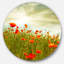 Floral, coquelicot rouge, toile d'art sur fond - Coquelicot-1563682436