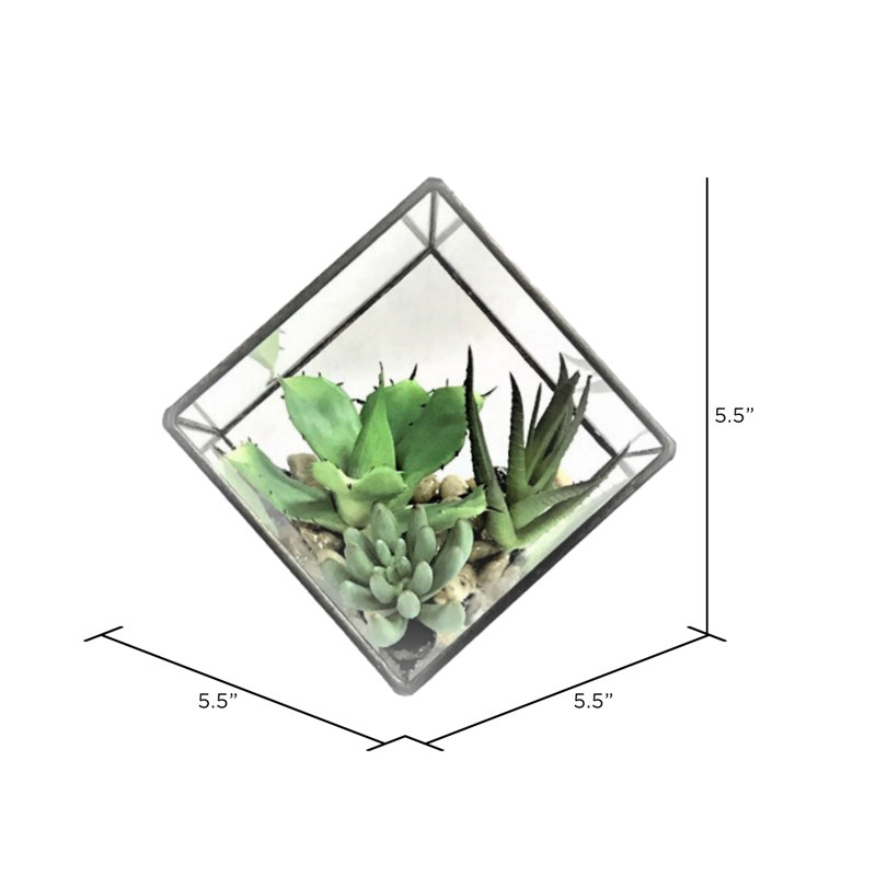 Arrangement artificiel de plantes grasses et terrarium, H 5,5 po x l 5,5 po x P 5,5 po
