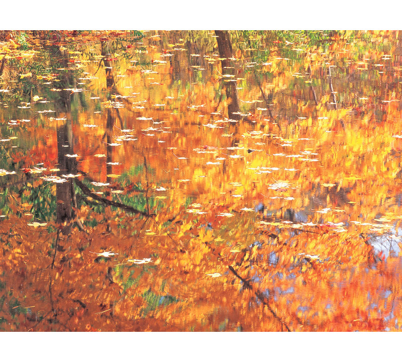 Autumn Reflection In Pond Print, Wrapped Canvas, 45" H x 60" W x 1.5" D, No Mat