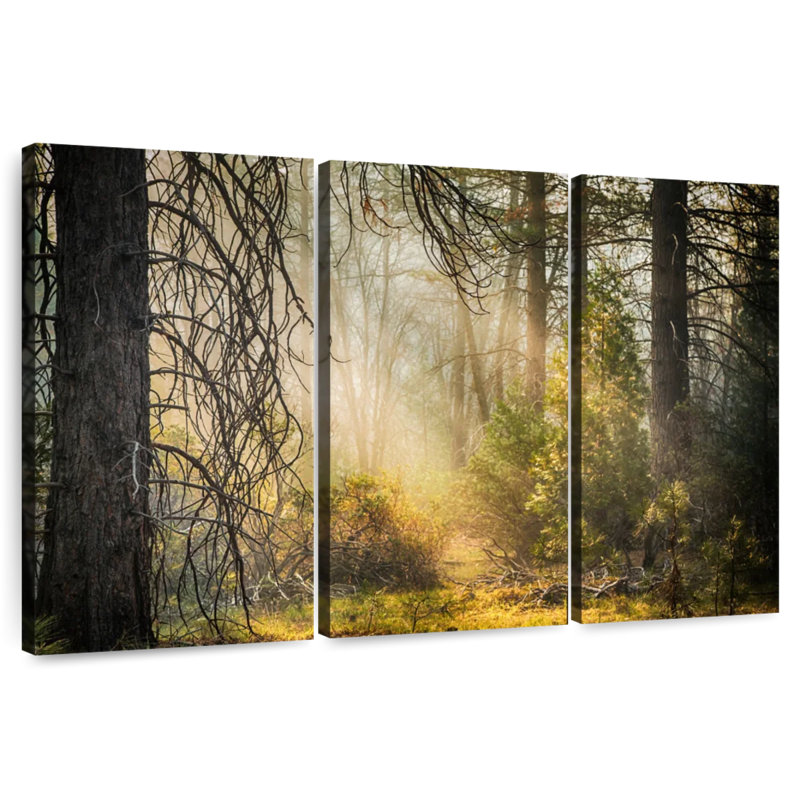 Alvord Mariposa Grove Forest, 42" H x 65" W