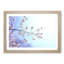 Pink Cherry Blossom Tree In Sunlight - Single Picture Frame Print on MDF-56704516-56704517