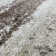 Tapis