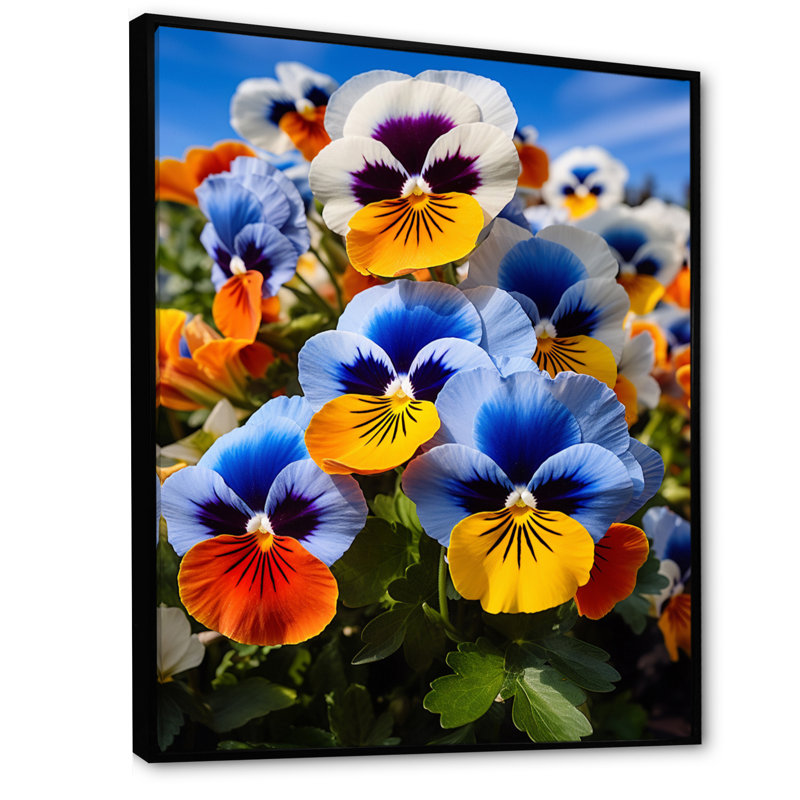 «Pansies Vibrant Pansies» sur toile, H 20 po x l 12 po x P 1 po, Cadre flottant noir