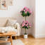 120cm Plant