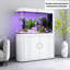Aquarium en verre transparent thermolaqué à forme de balle-1725856982-1725856980