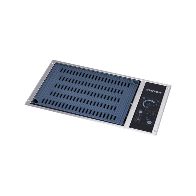 Kenyon 21'' W x 12'' D Indoor/Outdoor Use Single Burner Built-In Electric Grill, 240V