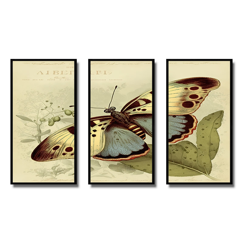 Illustration rétro de papillons III - animaux, ensemble d'art mural sur toile_80514, H 20 po x l 36 po x P 1 po