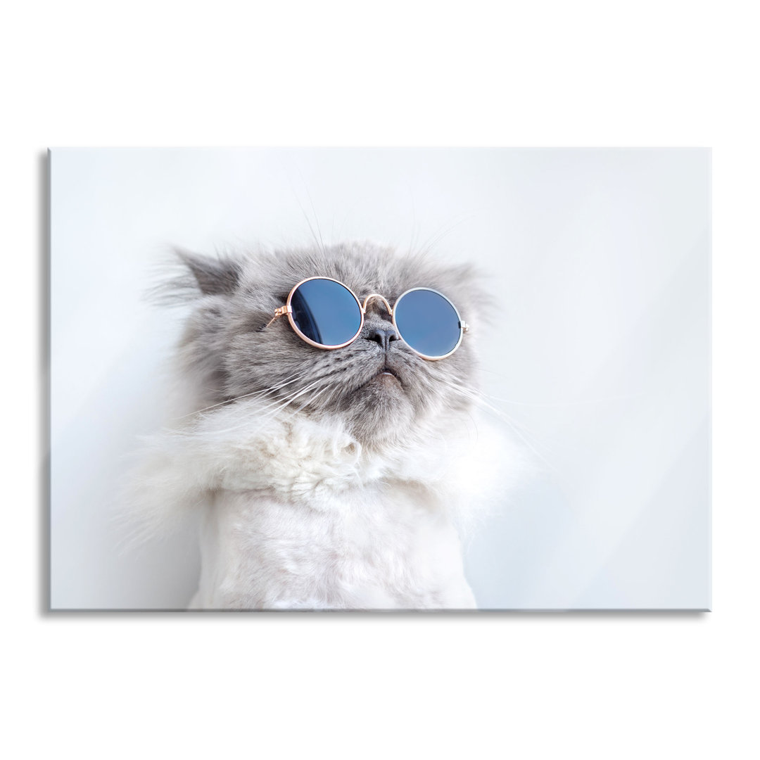 Glasbild Coole Katze mit runder Sonnenbrille