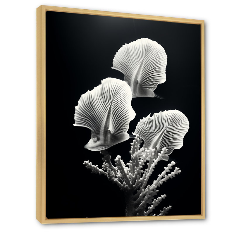 «Black and White Modern Coral Dream - Beach and Ocean, art mural sur toile, H 32 po x l 24 po x P 1 po