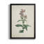 Toile encadrée de qualité supérieure Traditional Botanical II - prête à être accrochée-1499685928-1499685935