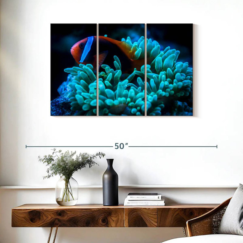 Brampt Tomato Clownfish, 24" H x 38" W