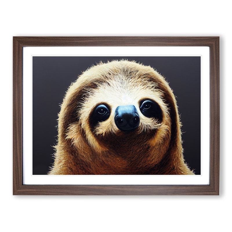 Cute Sloth - Framed Print, 46cm H x 64cm W x 2cm D, Walnut