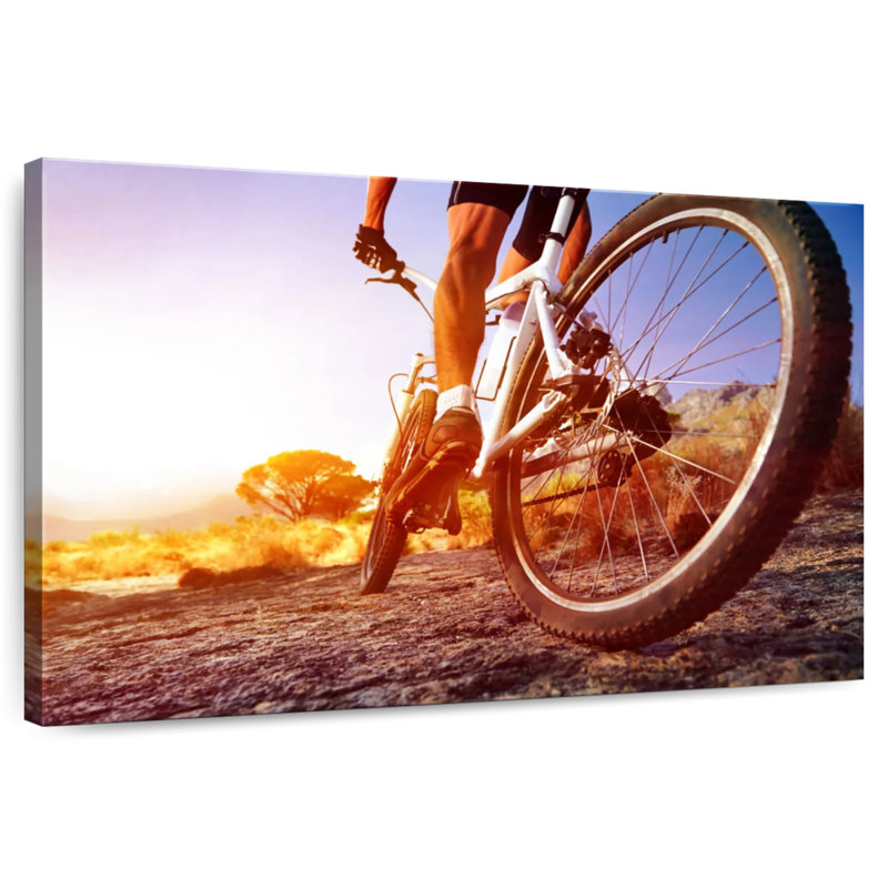 Sireci à vélo au coucher du soleil, H 20 po x l 30 po