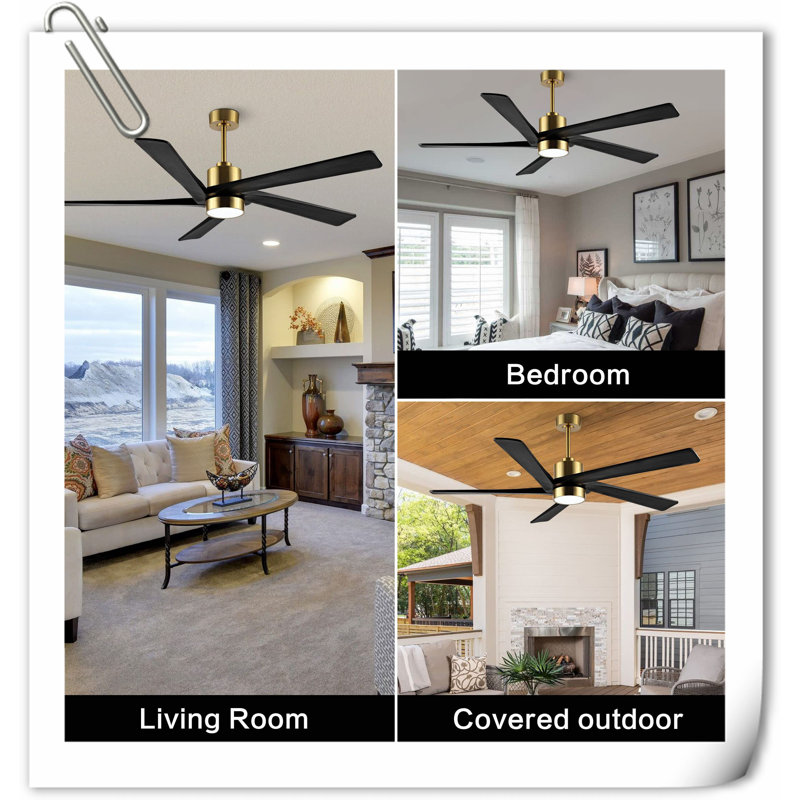 Museau Ceiling Fan with LED Lights, Black/Gold