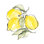 " Lemons III " by Chris Paschke