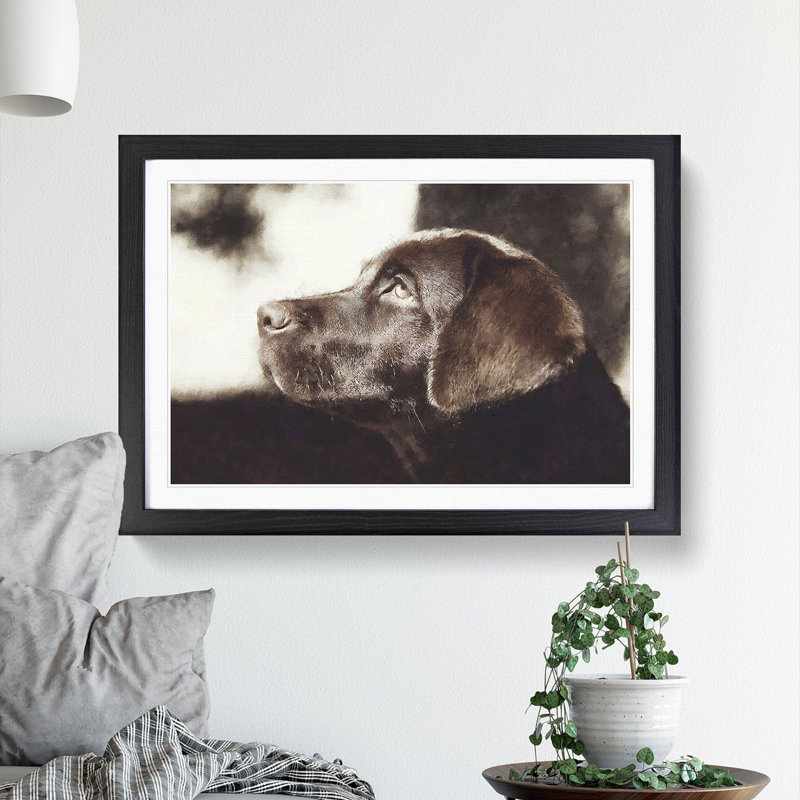 Chocolate Labrador Portrait - Framed Print, Black Framed, 45cm H x 63cm W x 2cm D
