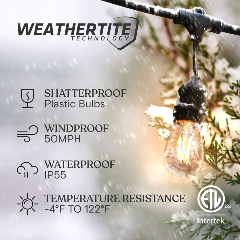Ambience Pro 48 ft. Plug-In Outdoor Patio LED String Lights with 15 Warm White S14 Edison Bulbs, Weatherproof, Warm White