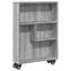 Ricaria 68cm H x 48cm W Bookcase-1511602890