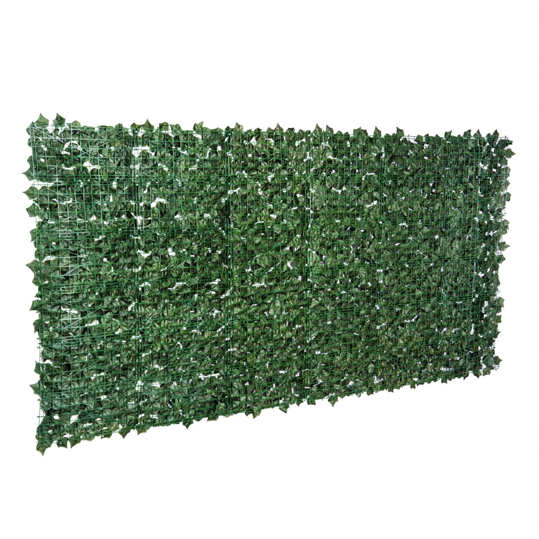 Privacy Fencing Hedge