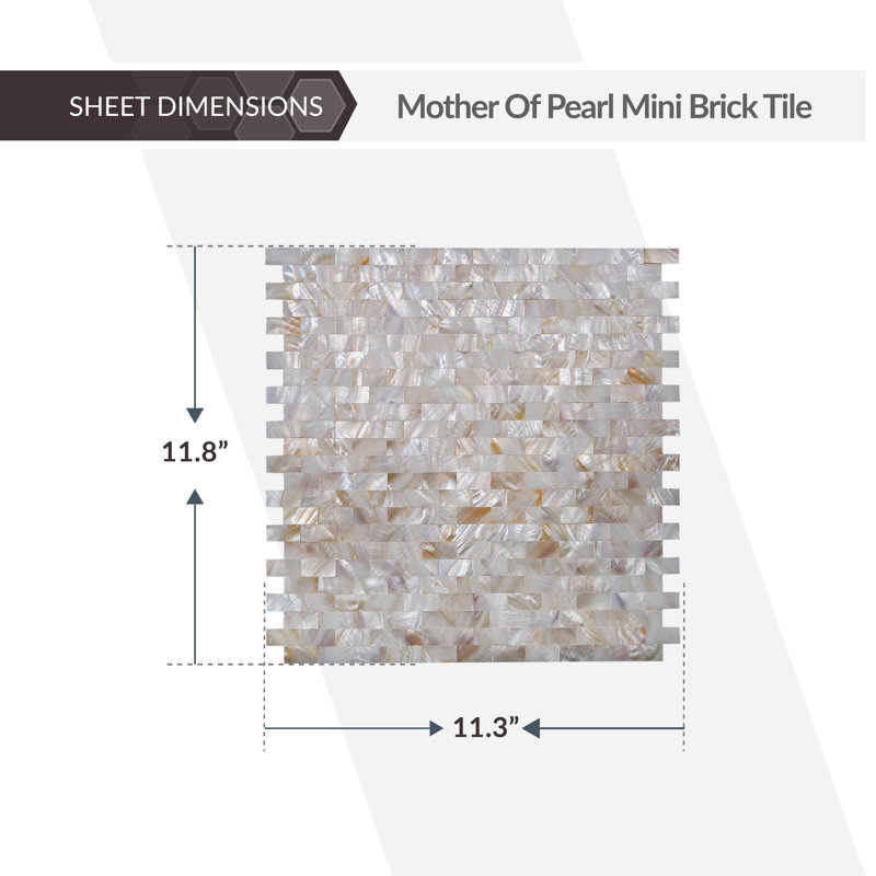 11" x 12" Seashell Linear Mosaic Wall & Floor Tile