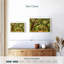 Charleston Oak Forest-1119509696-1119509706