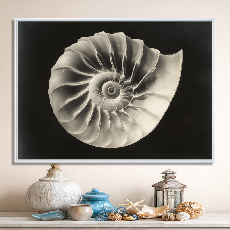 Nautilus in Silver Shadow III - Décoration murale encadrée nautique, H 12 po x l 20 po, Cadre flottant blanc
