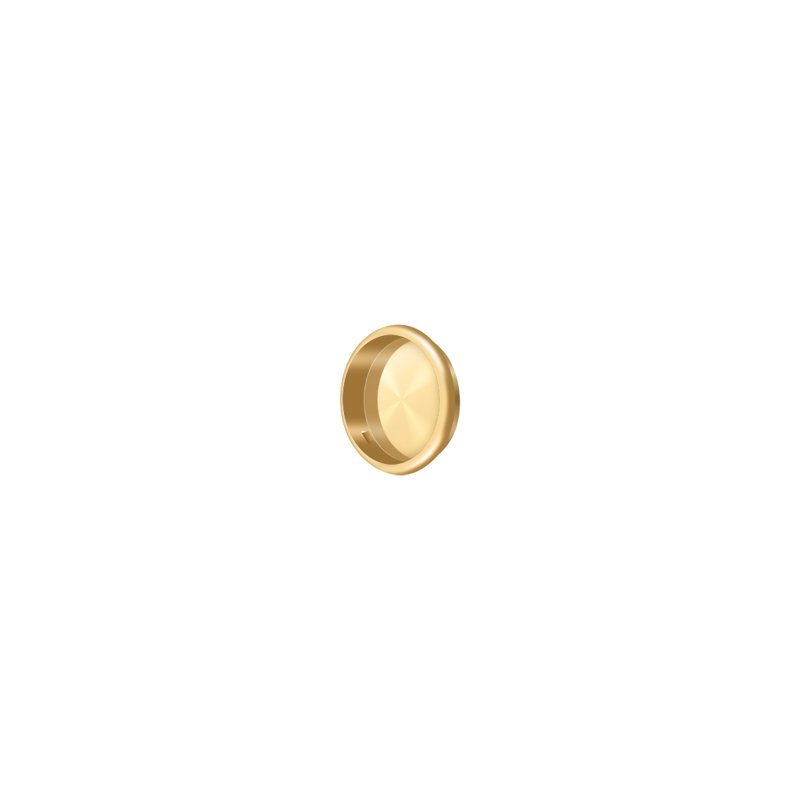 Brass Push/Pull Plate, PVD Polished Brass