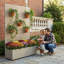 Planter Box-819676076-806154429
