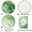 Couronne verte verdoyante tourbillon - décoration murale couronne-97203999-97204000