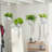 Plant Hanger