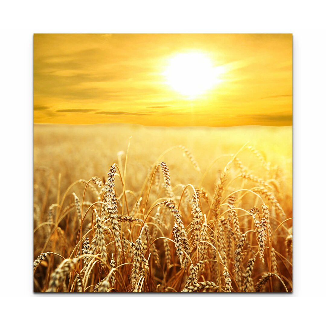 Leinwandbild Sunset over a Ripened Wheat Field