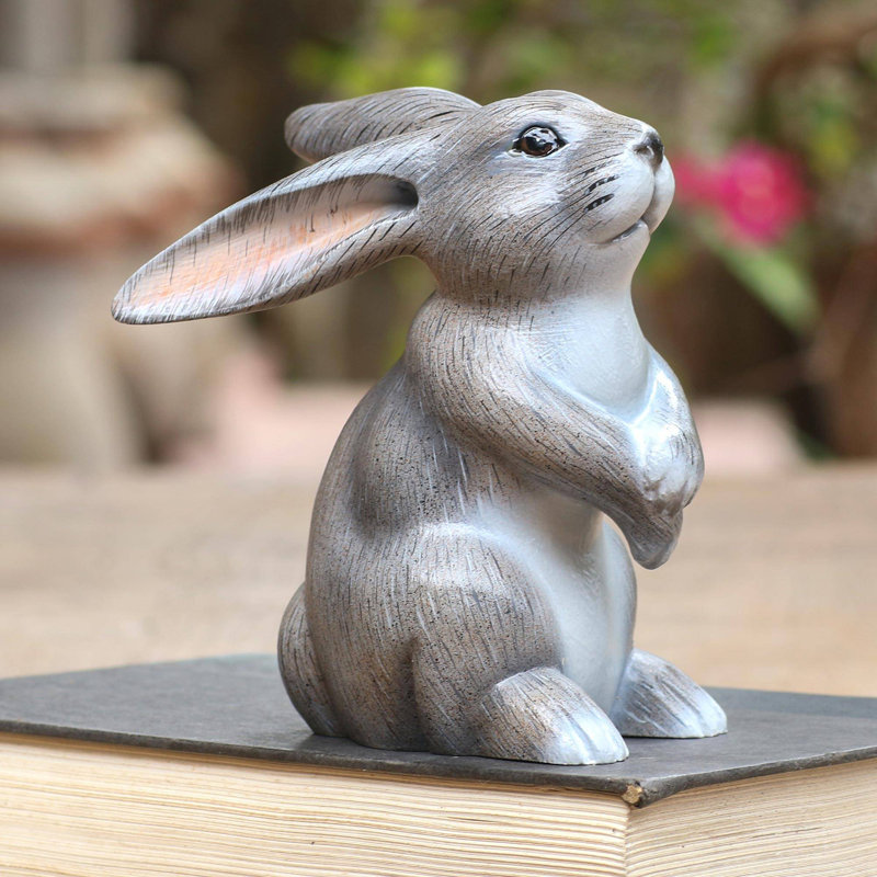 Adorable lapin Brazell, Gris