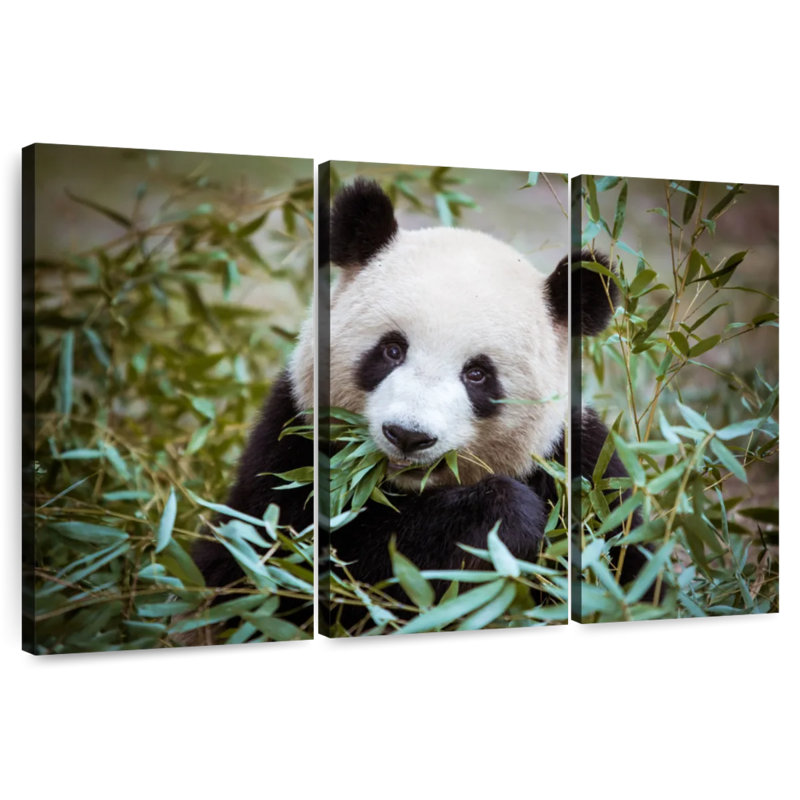 Brampt Panda With Bamboo, 48" H x 74" W