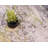 Keimar Washable Abstract Indoor Rug-26194403