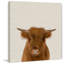 Sleepy Buffalo - Drawing on Canvas-1303425667