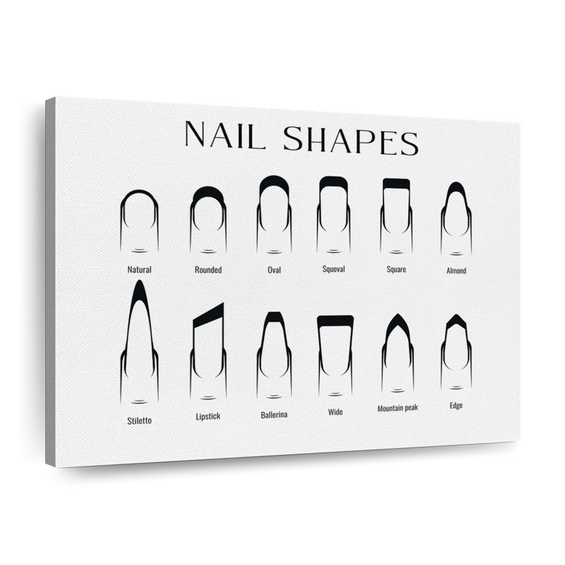 Tableau des formes des ongles, H 36 po x l 45 po x P 1,25 po