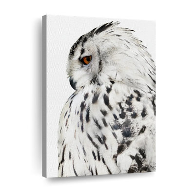 Hibou blanc sur toile