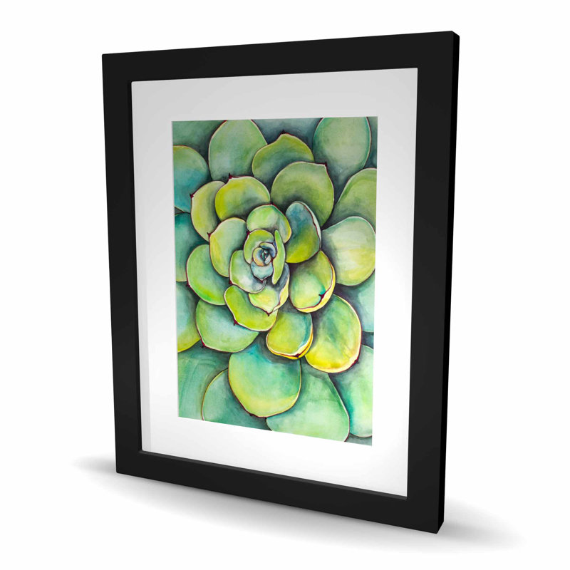 «Watercolor Succulent Plant - Leaves», reproduction encadrée, H 20 po x l 16 po