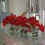 Arrangement in Planter-898860769-898860774