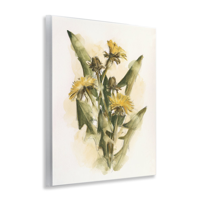 Art mural sur plaque Cottage Buttercup Flowers par Ethan Harper