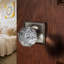 Ellipse Passage Door Knob with Contemporary Round Rose-22034527