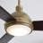 Hicks 60'' Ceiling Fan with LED Lights-26025712