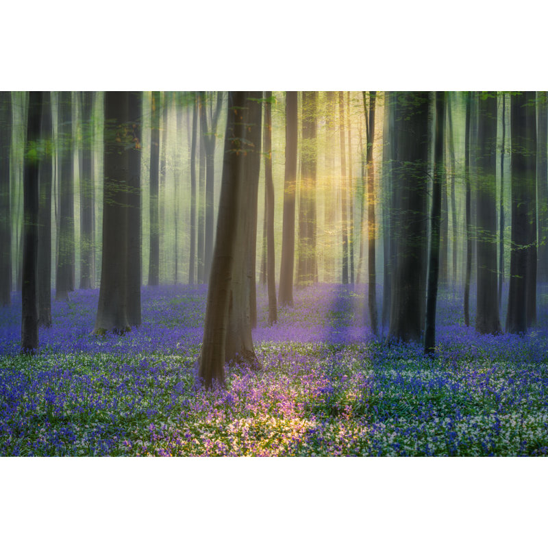 Wrapped Canvas Print, 60.96 cm H x 91.44 cm W